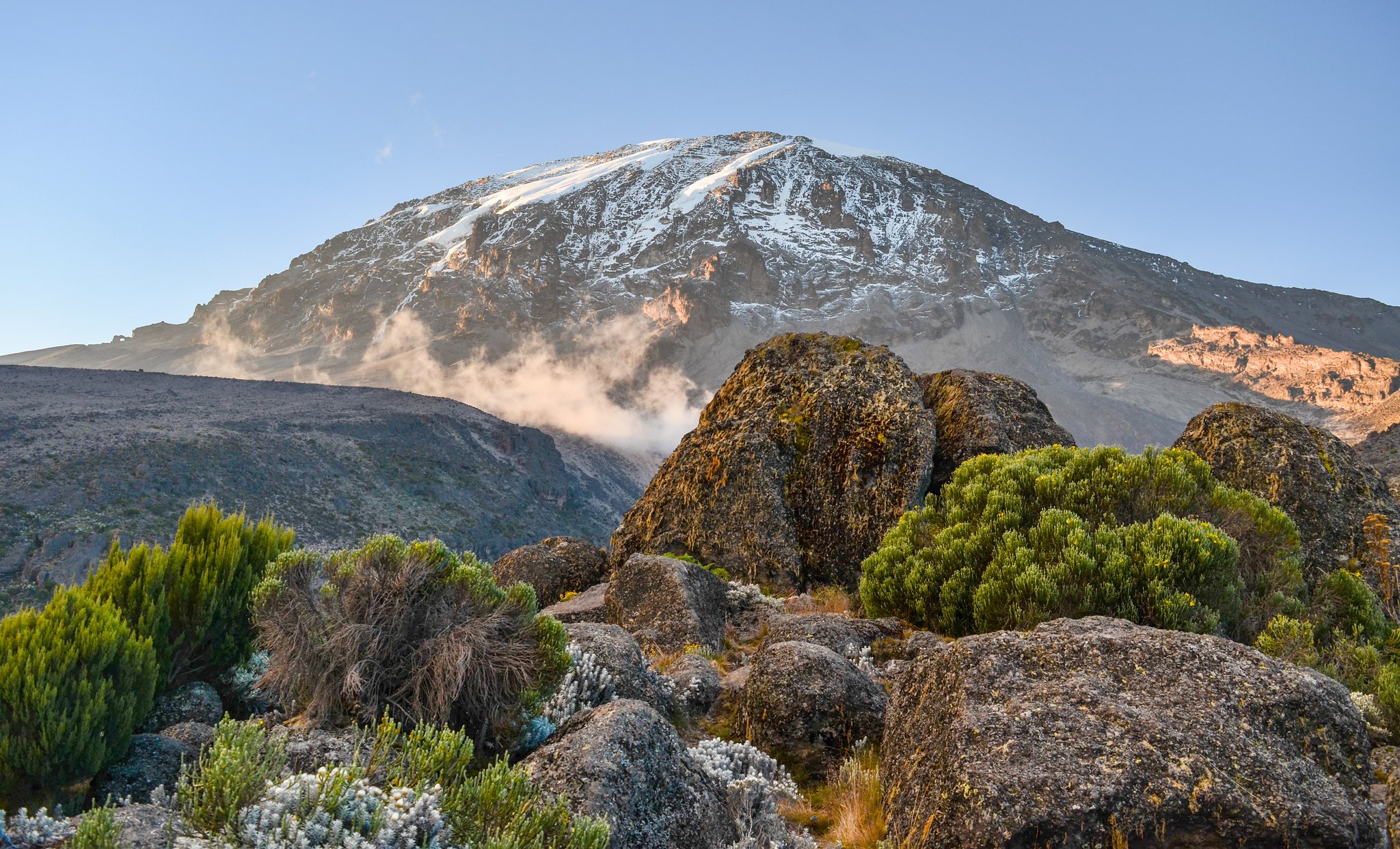 Kilimanjaro